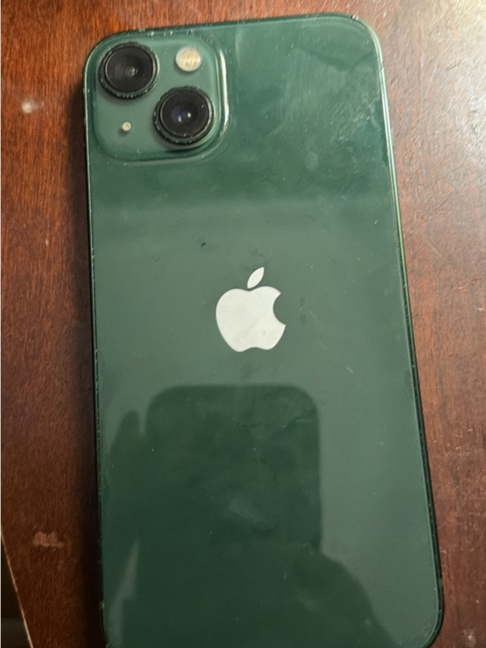 Apple iPhone Green Dual Camera Back Panel